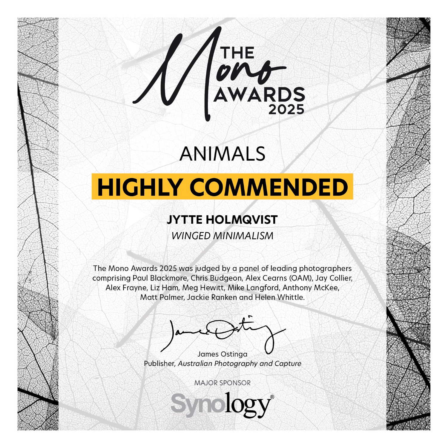 The_Mono_Awards_2025_2695 (Custom)